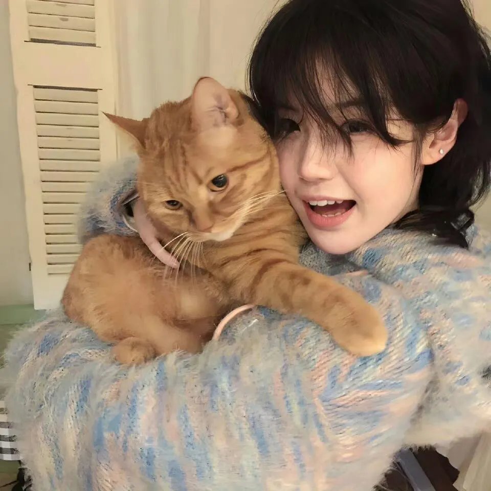 2026热门内容精选第067期